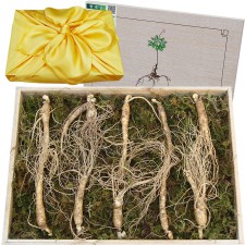 아리아리산삼 6년근 10뿌리 장뇌삼 산양산삼 산양삼 자연산 선물세트