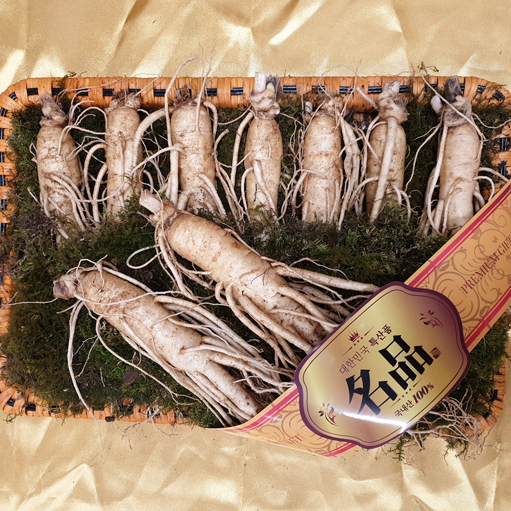 인삼 수삼 금산인삼 도매시장 세척 원수삼 소 한채