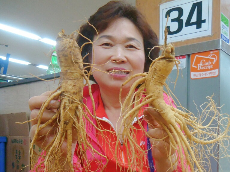 인삼 수삼 파삼 6년근 인삼주 강화 도매시장 파지 1KG