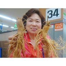 인삼 수삼 파삼 6년근 인삼주 강화 도매시장 파지 1KG