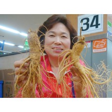 인삼 수삼 파삼 6년근 인삼주 강화 도매시장 파지 1KG