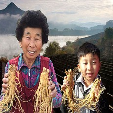 금산 참 인삼 수삼 난발삼 500g 세척 진공포장