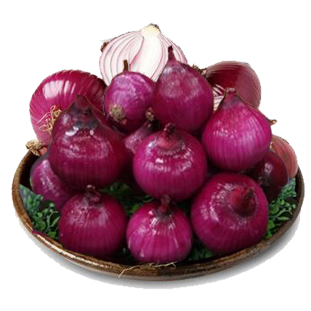 무안 자색양파즙 빨간양파즙 90포