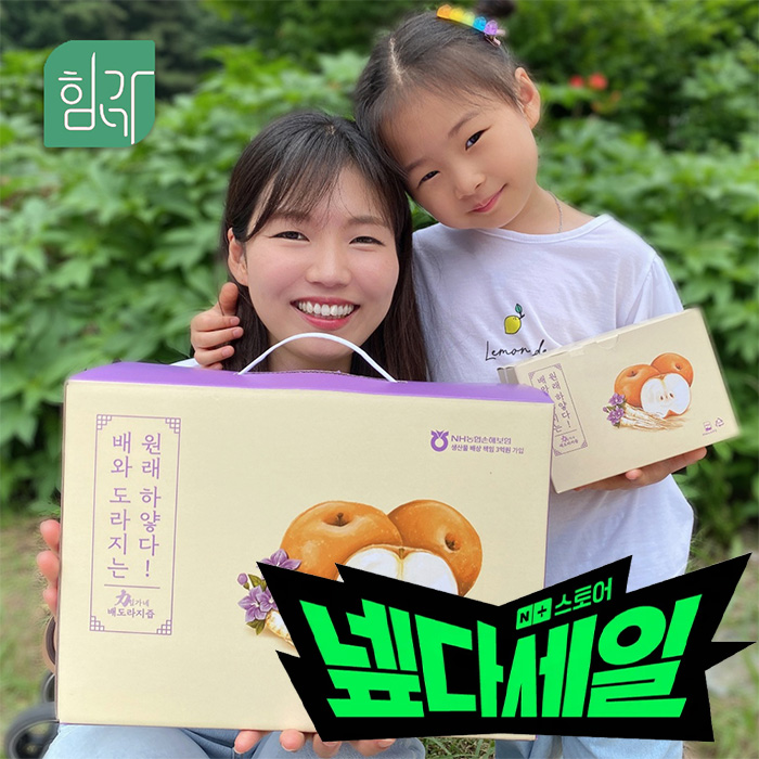 힘가네 도라지배즙 1박스(80ml x 40개입)