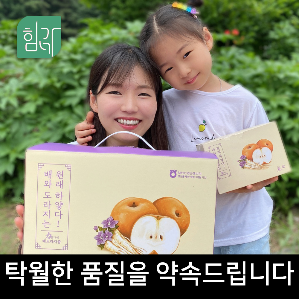 힘가네 도라지배즙 1박스(80ml x 40개입)