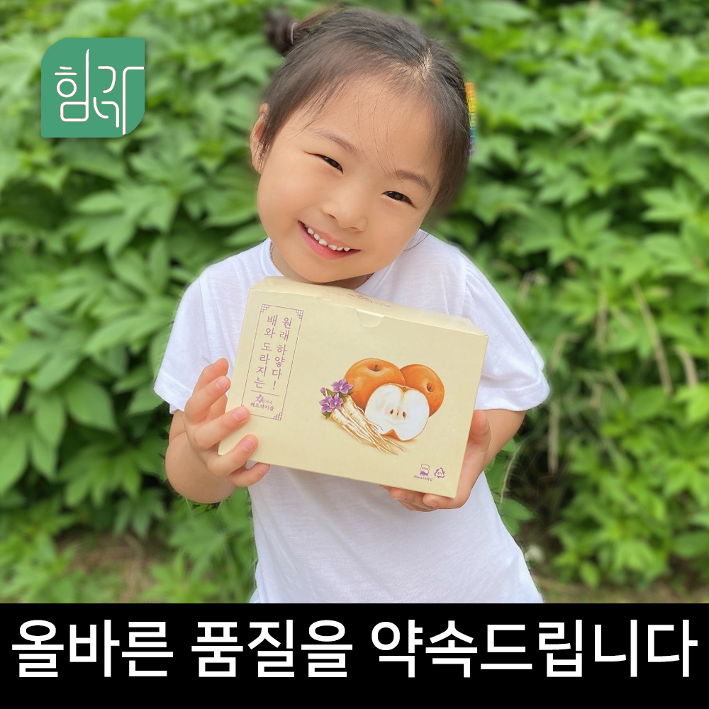 힘가네 도라지배즙 1박스(80ml x 40개입)