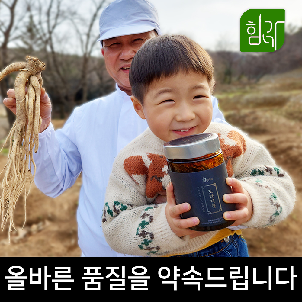 힘가네 도라지청 약도라지청 국산 650g