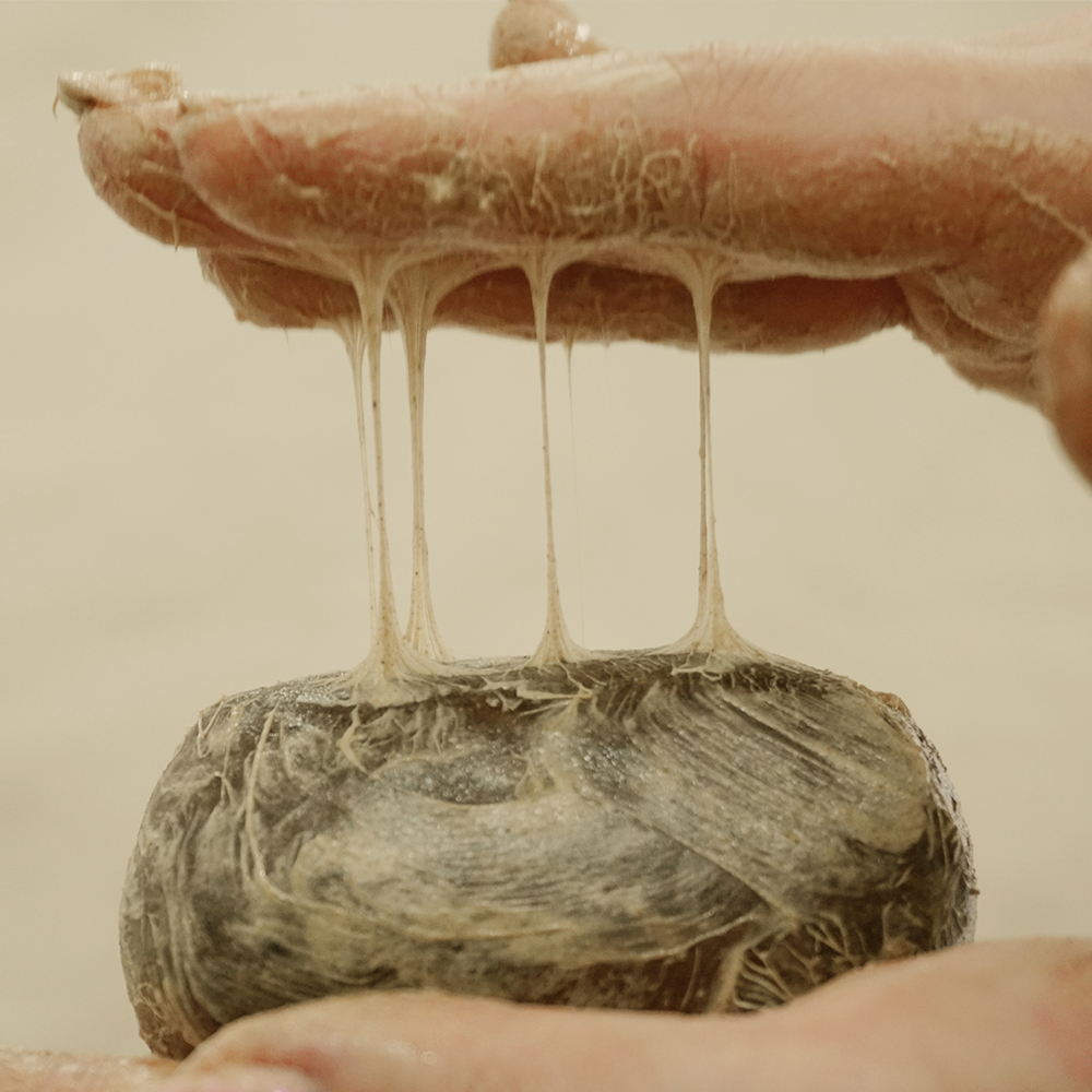 천비누솝 정안고 비누팩 어성초 천연 세안 비누 1개