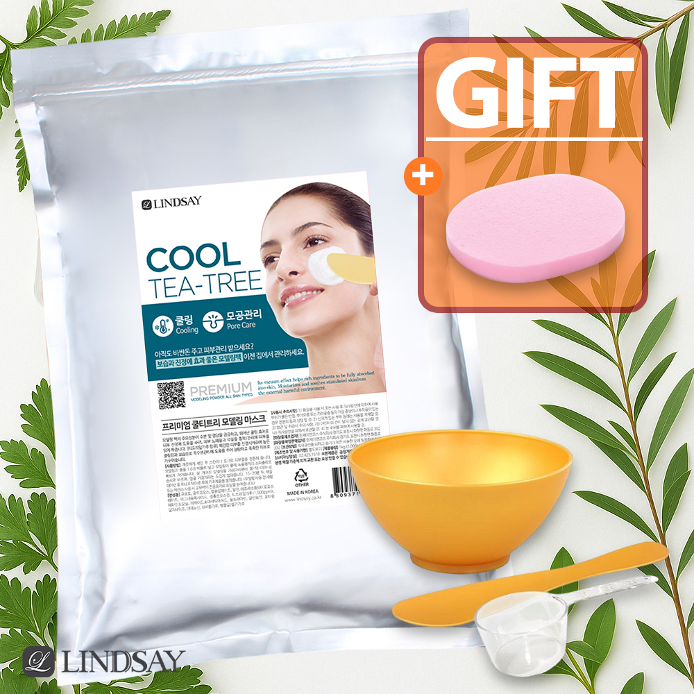 린제이 모델링팩 쿨티트리 1kg 고무팩 도구세트+핑크해면 홈에스테틱 5종세트