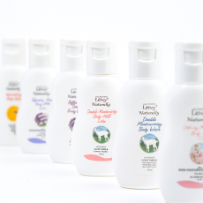 [라운지 전용] 레이비 미니어처 2종 세트 (교차선택 가능)